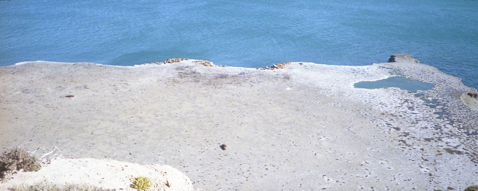 Puerto Madryn — cosecha 2025