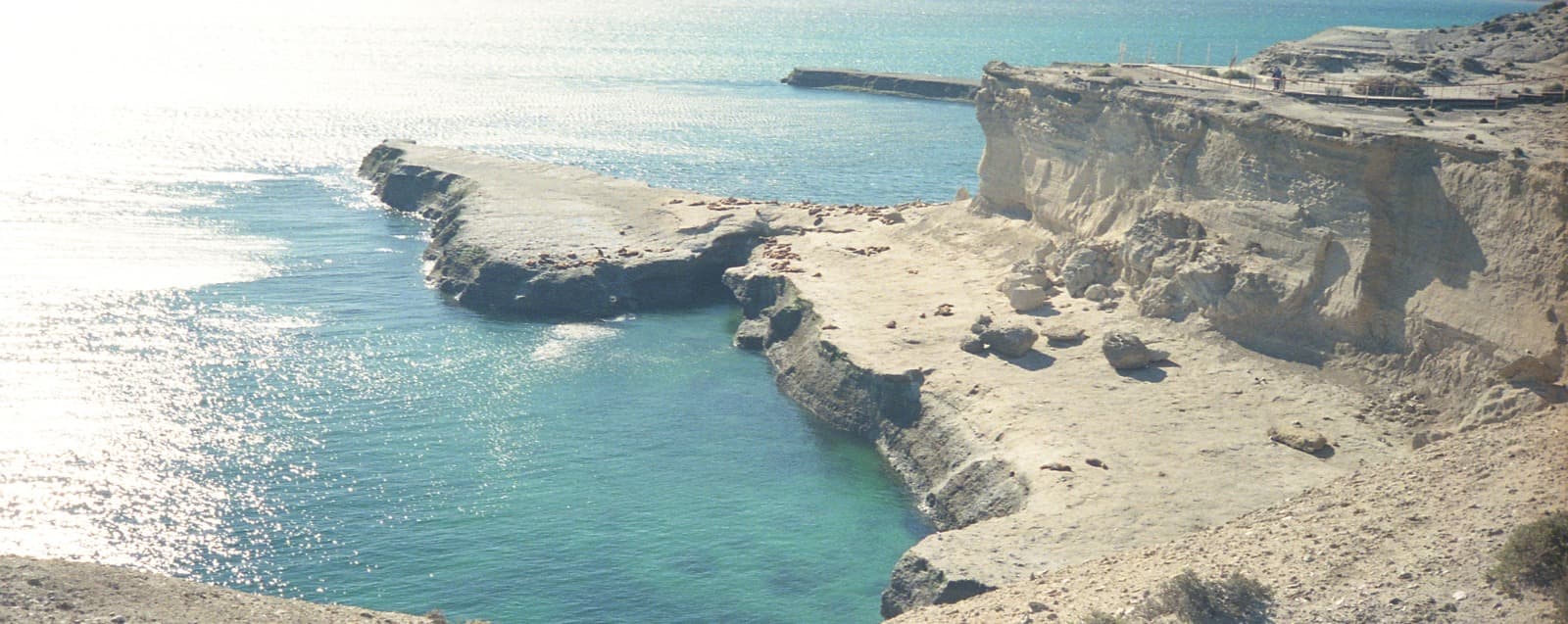 Puerto Madryn — cosecha 2025