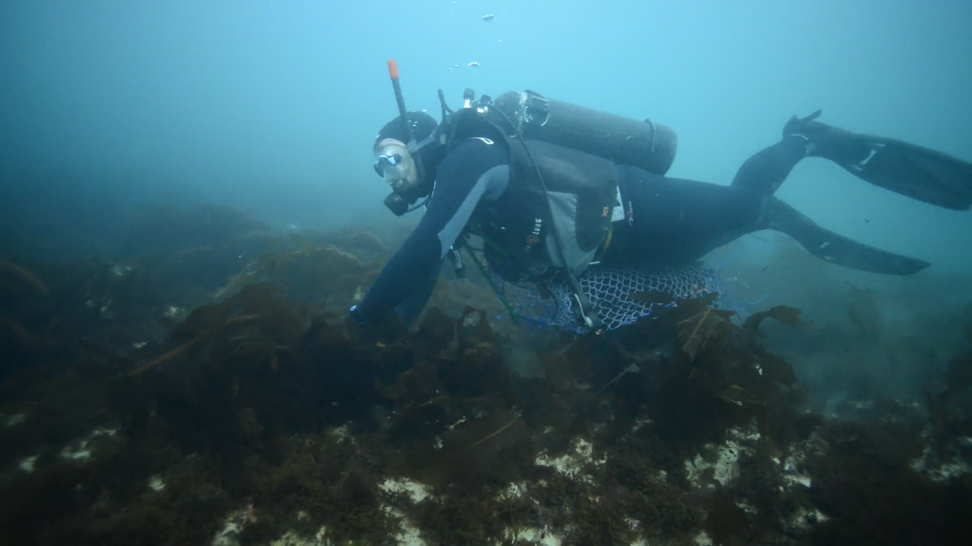 El mar del Golfo Nuevo, Puerto Madryn